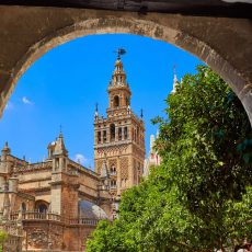 What Not to Miss When Visiting Seville