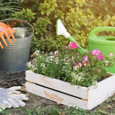 Jardines verticales y muros verdes para cualquier superficie